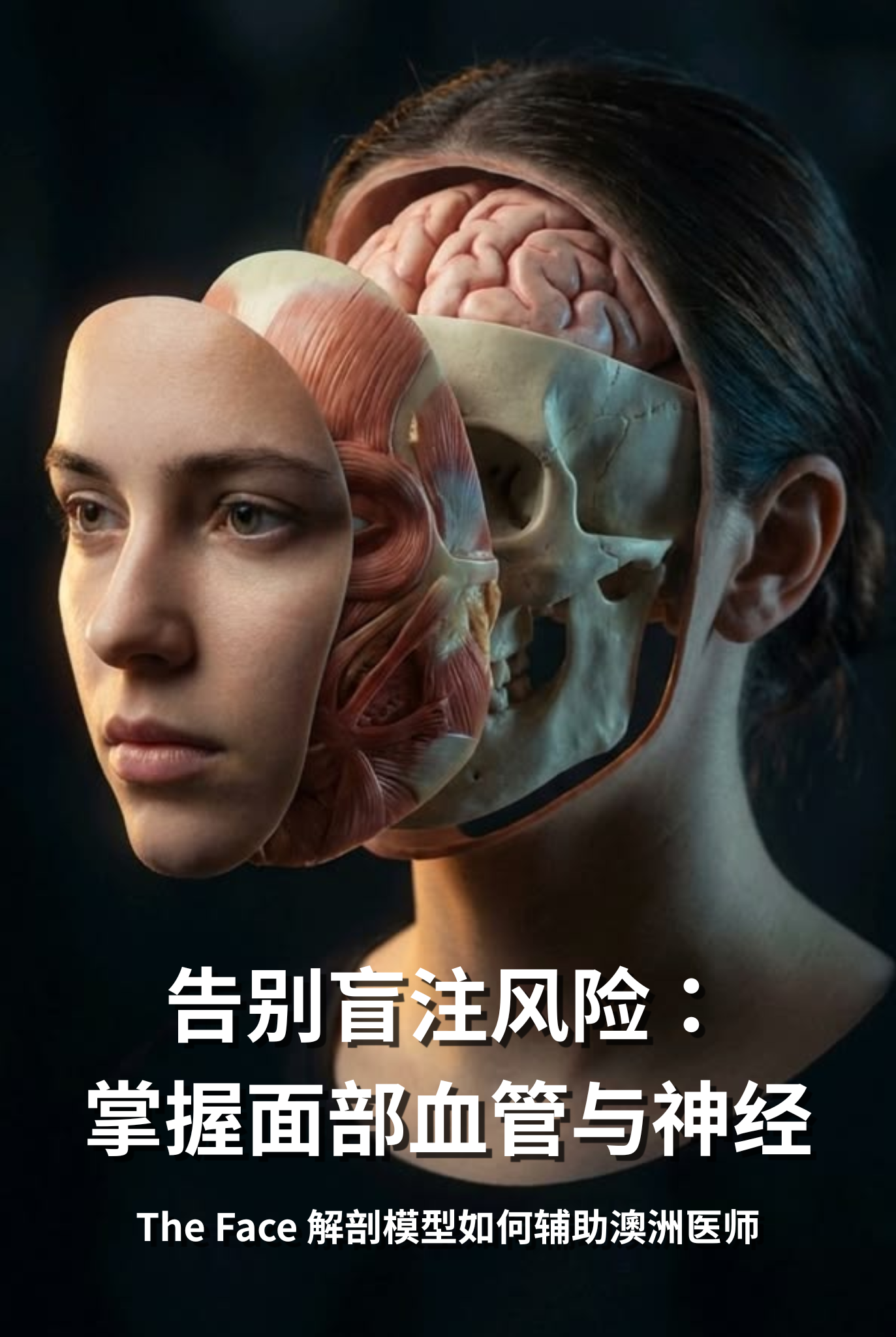 告别盲注风险：The Face 解剖模型如何帮助澳洲医师精准掌握面部血管与神经