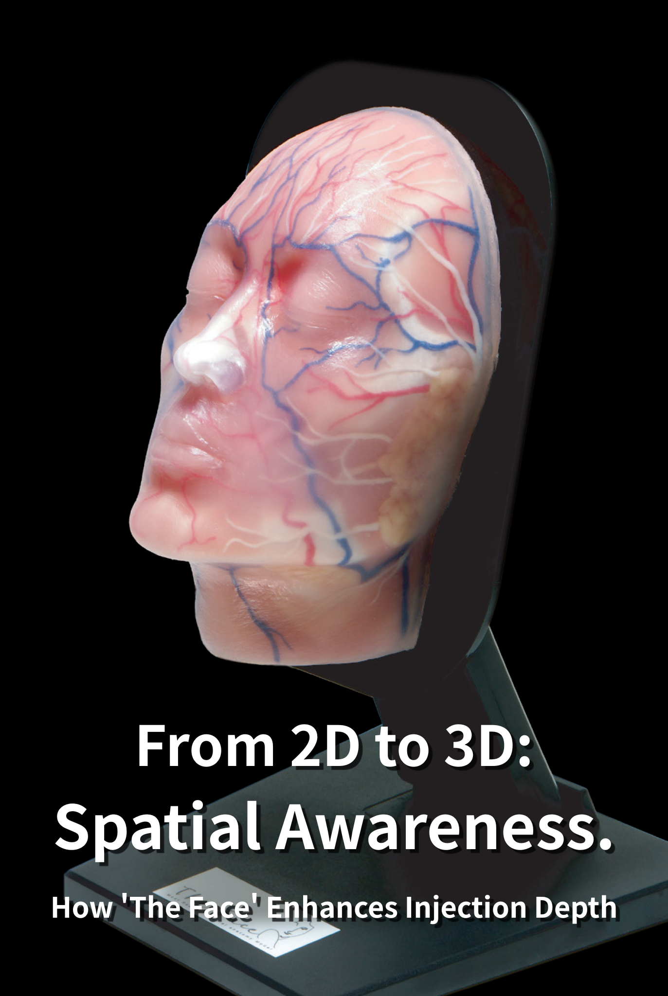 From 2D to 3D: How 'The Face' Anatomical Model Enhances Doctors' Spatial Awareness and Injection Depth