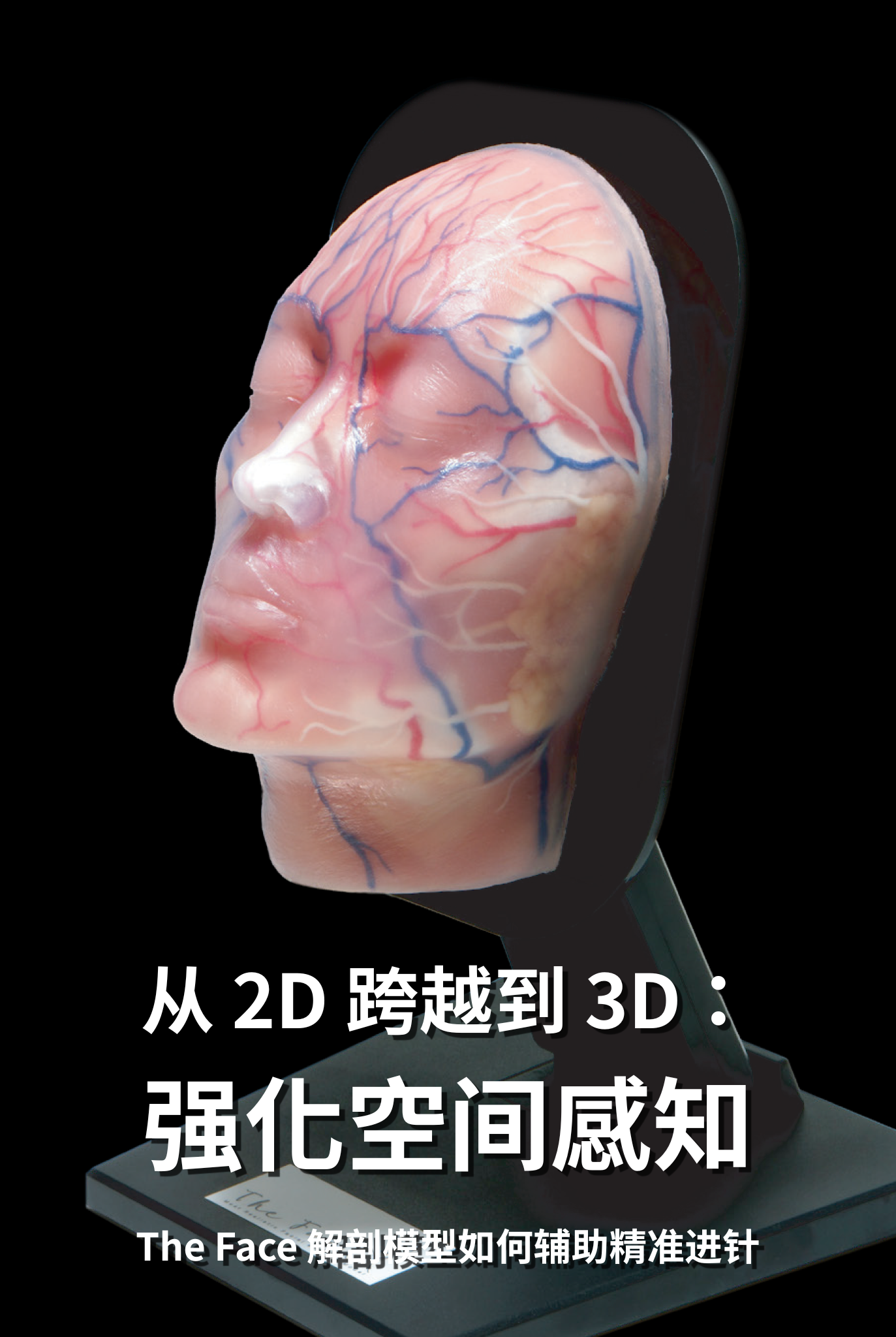从 2D 跨越到 3D：The Face 解剖模型如何强化澳洲医师的「面部空间感知」与进针深度