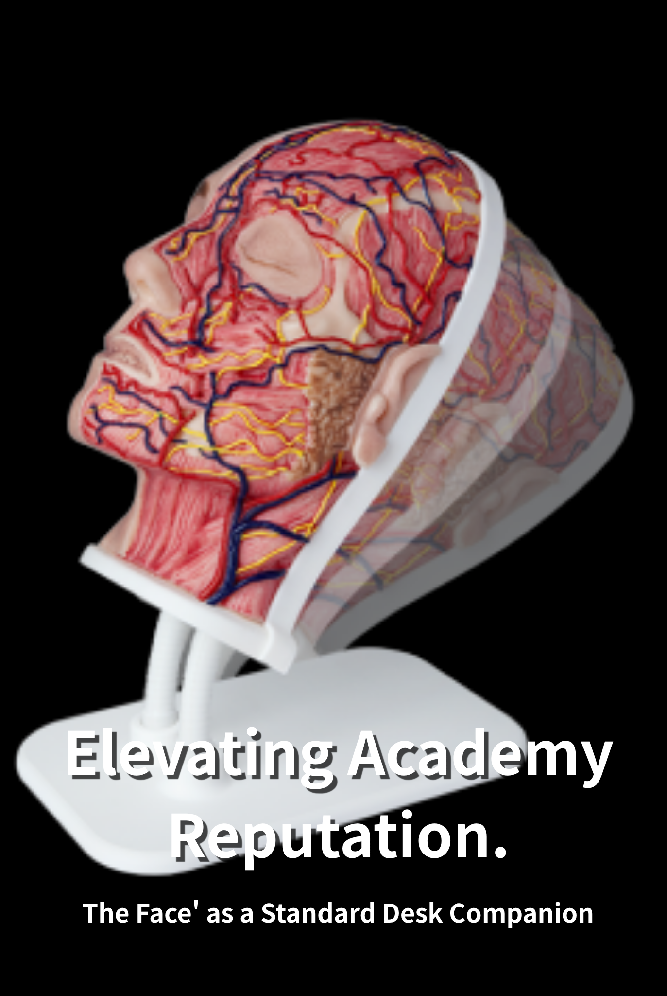 Elevating Academy Reputation: Why Leading Aesthetic Educators Supply 'The Face' as a Standard Desk Companion