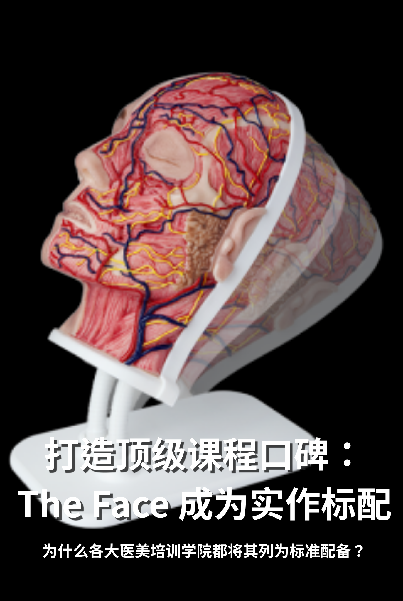 打造顶级课程口碑：为什么各大医美培训学院都将 The Face 列为学员实作桌上的标准配备？